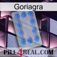 Goriagra 21